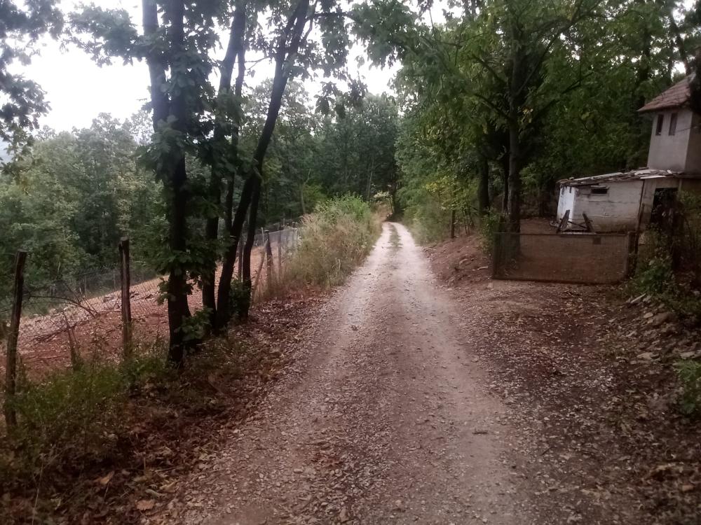 Slika 5 -  Plac na prodaju, Kosmaj, 26.400€